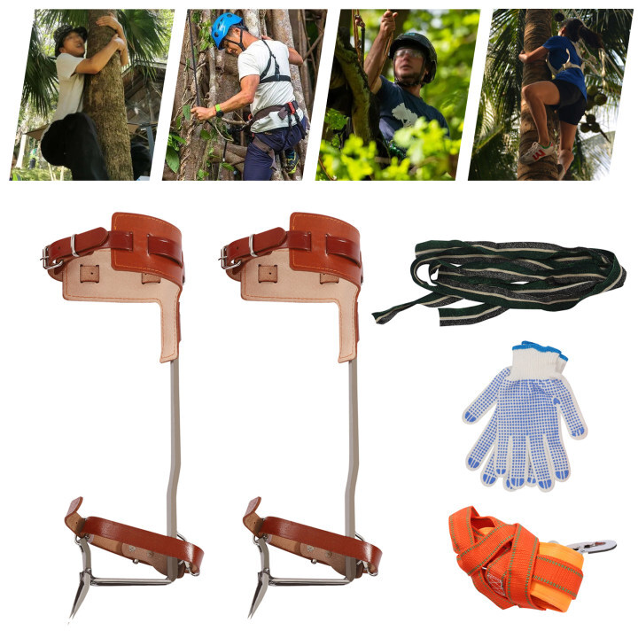 Adjustable Tree Climbing Spike Set with Double Teeth and Safety Gear