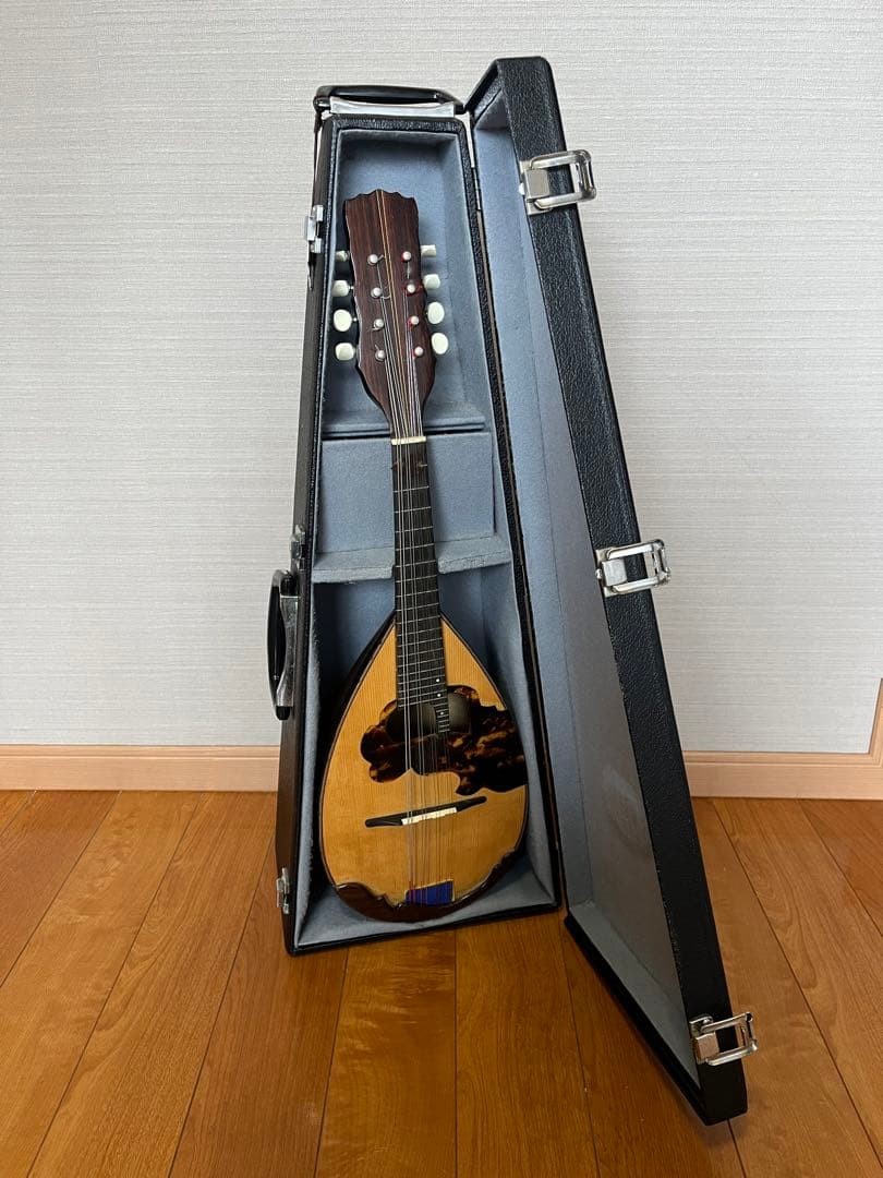 Used Mandolin Seiji Watanabe anno 1995 with case and key