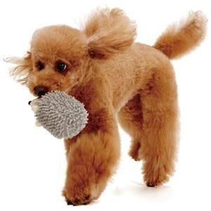 Bundle: Fluffy Crinkle Dog Toy (Hedgehog) x3 Sets (Wholesale)