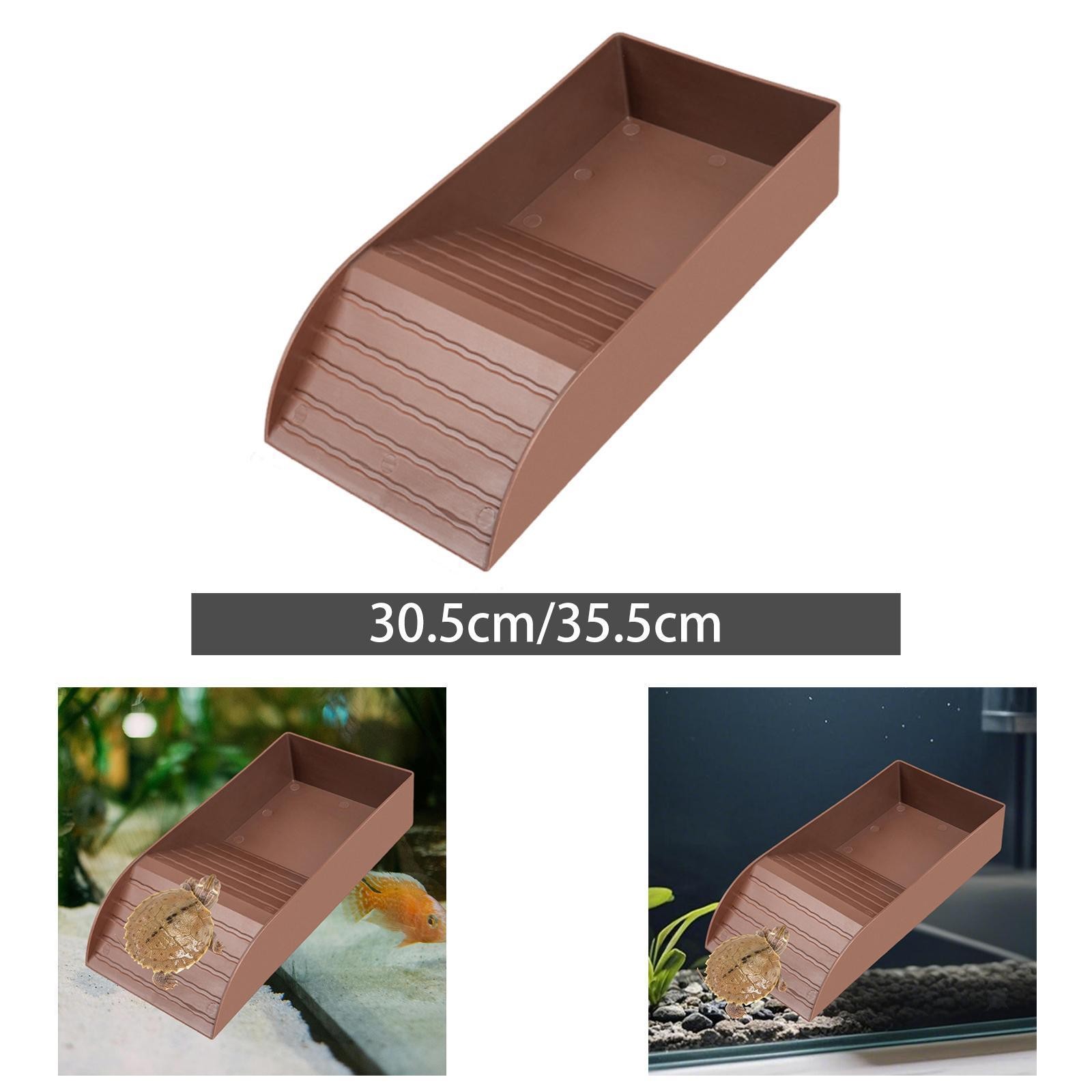 Tortoise Water Dish Reptile Feeding Dish, Practical Accessories, with Slope