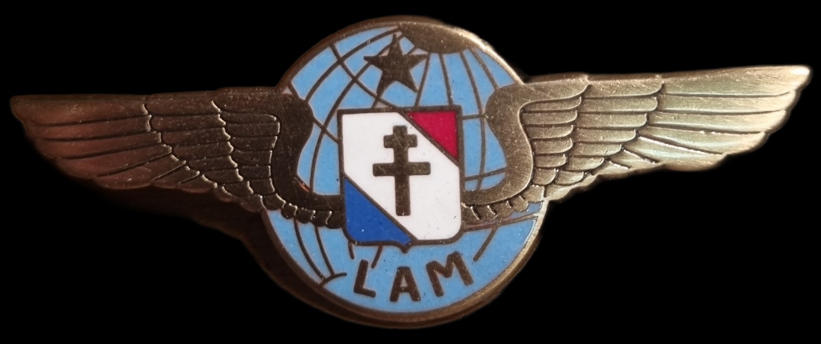 LAM Badge