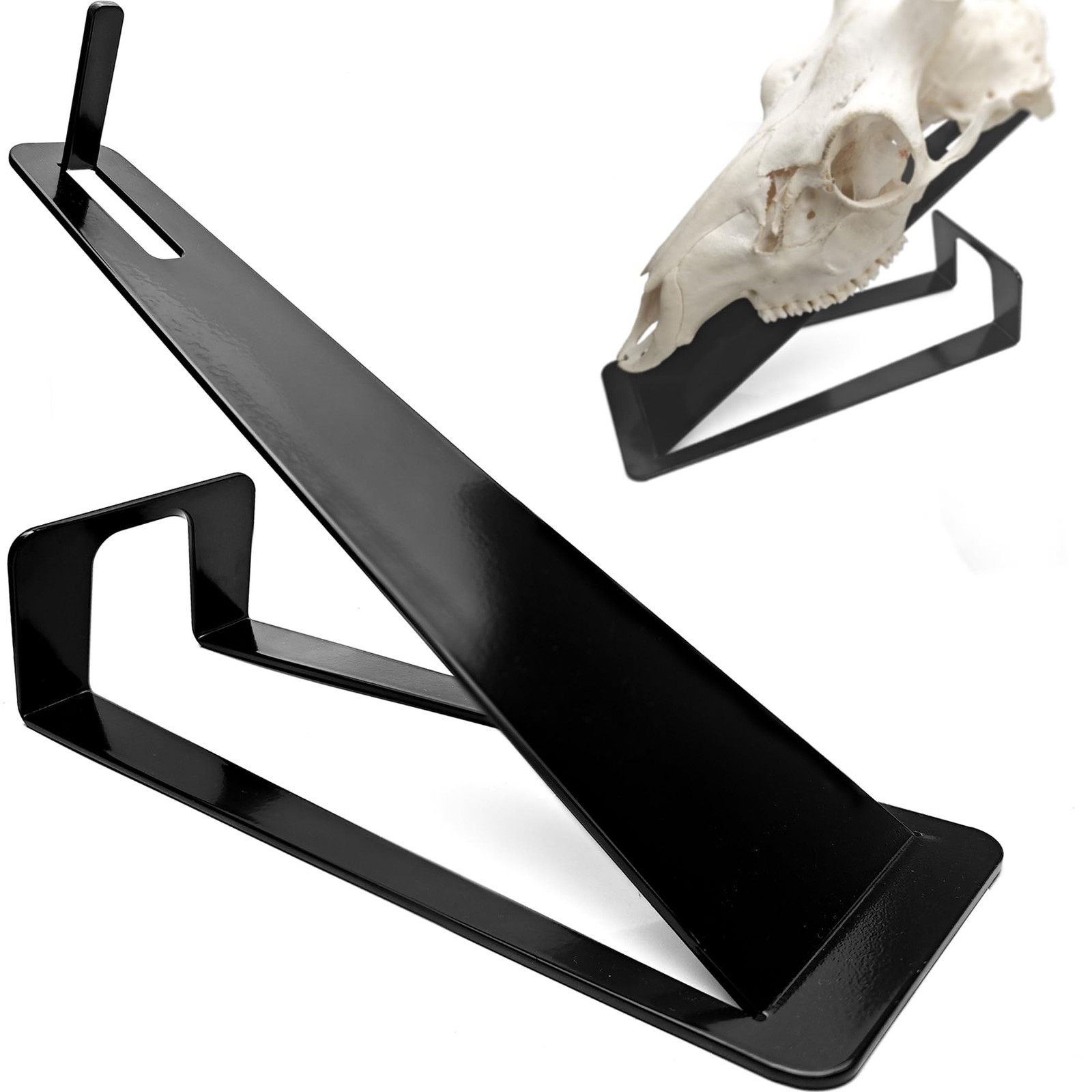 European Mount Skull Hanger Stand, Heavy Duty Table Top Skull Hanger for Deer...