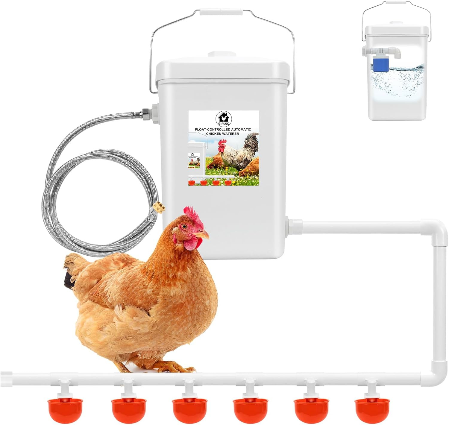Automatic Chicken Waterer Float Controlled 3 Gallons Poultry Waterer Dispens...
