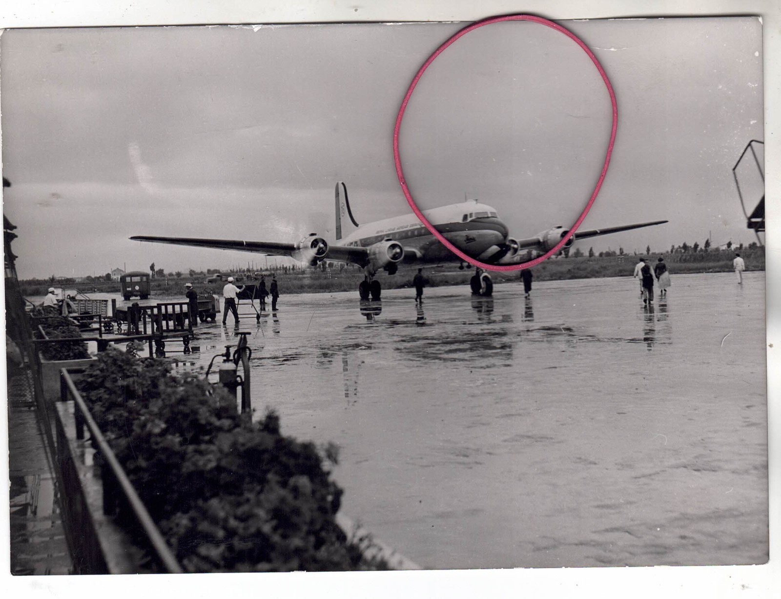 PHOTO PHOTO AIRCRAFT DOUGLAS DC 4