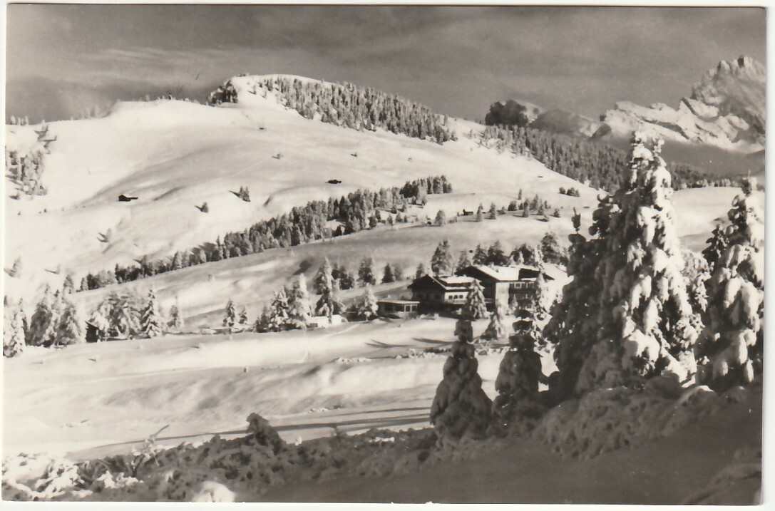 ALPE DI SIUSI - BOLZANO - HOTEL REF. STEGER-DELLAI MOUNTAIN INN - TRAVEL. -8797-