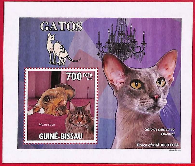A5944 - GUINE-BISSAU - Stamp Sheet - 2010 - Cats