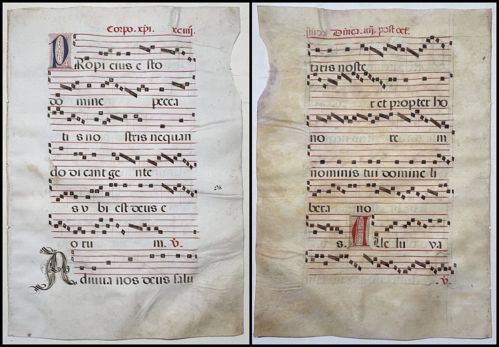 Antiphonary Parchment Vellum Manuscript 15th Century XCIIII