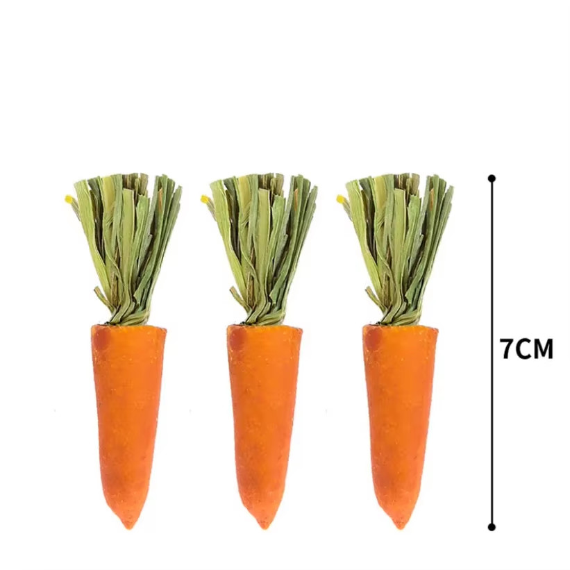 3Pcs Guinea Pig Hamster Rabbit Teeth Fruit Grinding Small Pet Supplies Minerals 