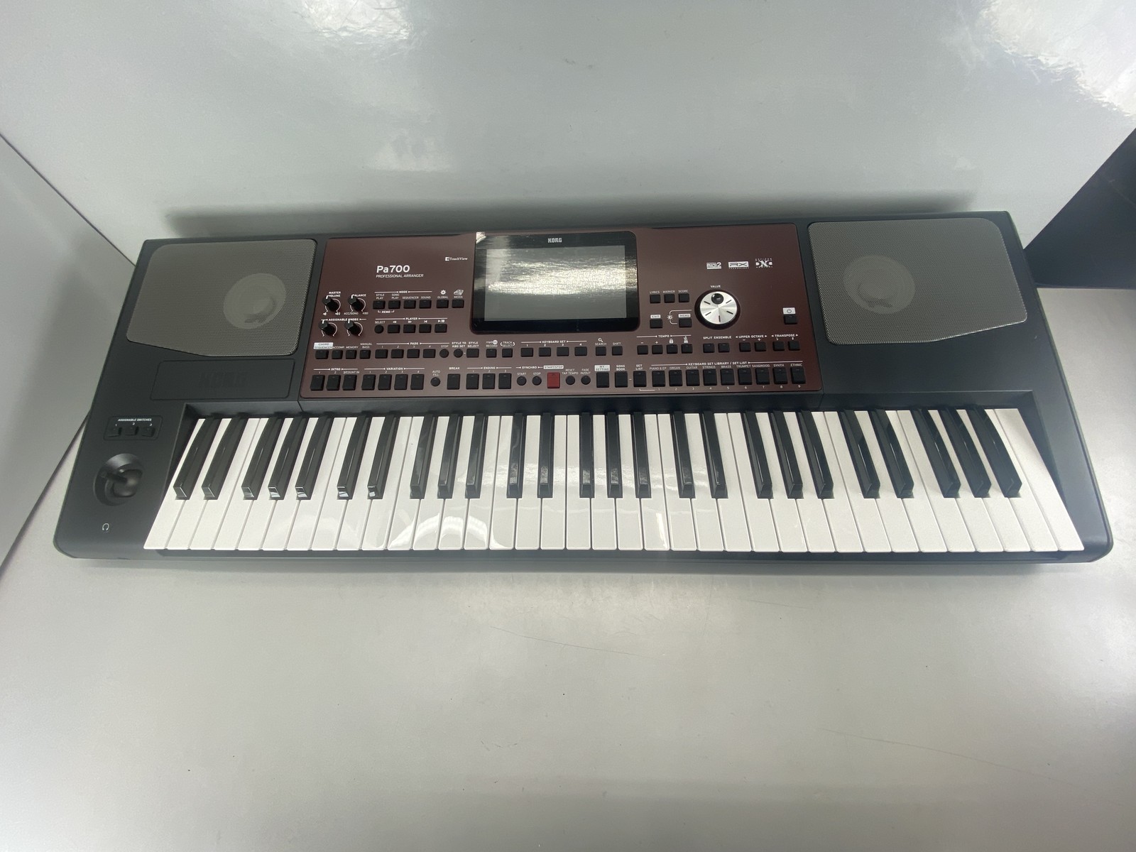 KORG Professional Arranger 61-Key with Touchscreen and Speakers