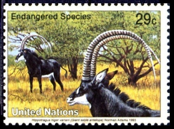 UN 1993 Mint no gum, Giant Sable Antelope, Critically Endangered  Wild Animals