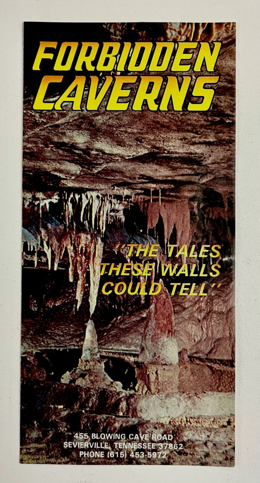 1970s Forbidden Caverns Sevierville Tennessee Caves Vintage Travel Brochure
