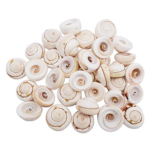 50pcs Open Back Natural Spiral Shell Beads Smooth Cut Oval Seashells 55286