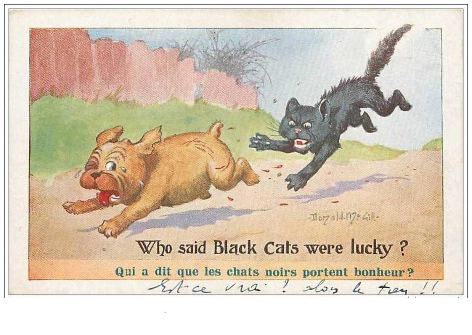 Cats No. 1760 Barnes Who Said That Black Cats Bring Good Luck Dog In PR