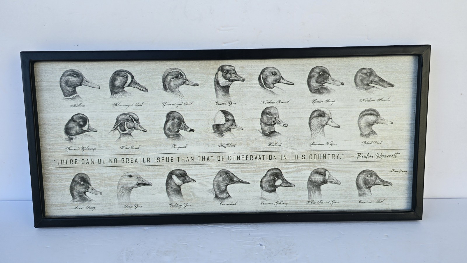 Ducks of North America Ryan Kirby Theodore Rosevelt Metal Framed 18 x 8 2022