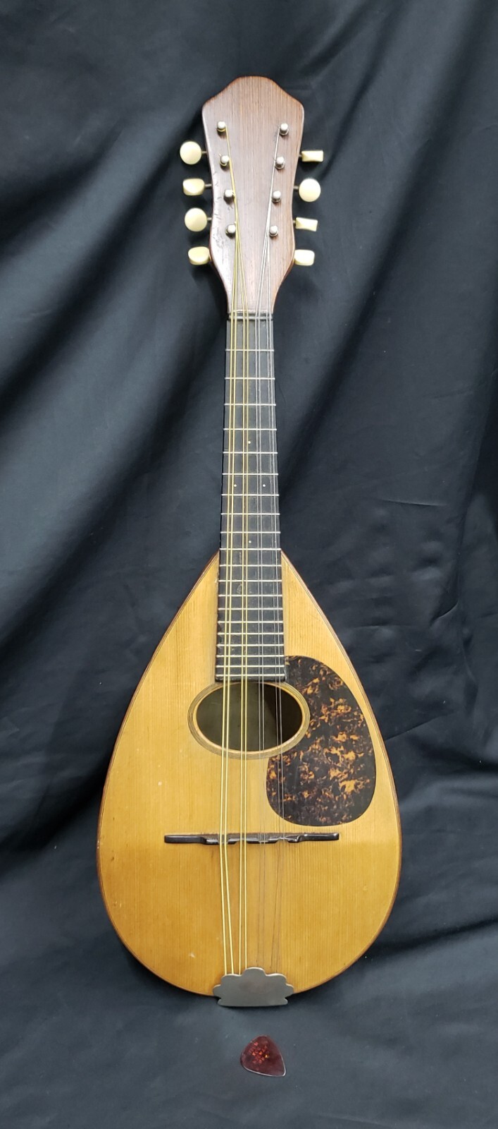 1916 C.F.  Martin Bowl Back Mandolin in Mint Condition GS00713