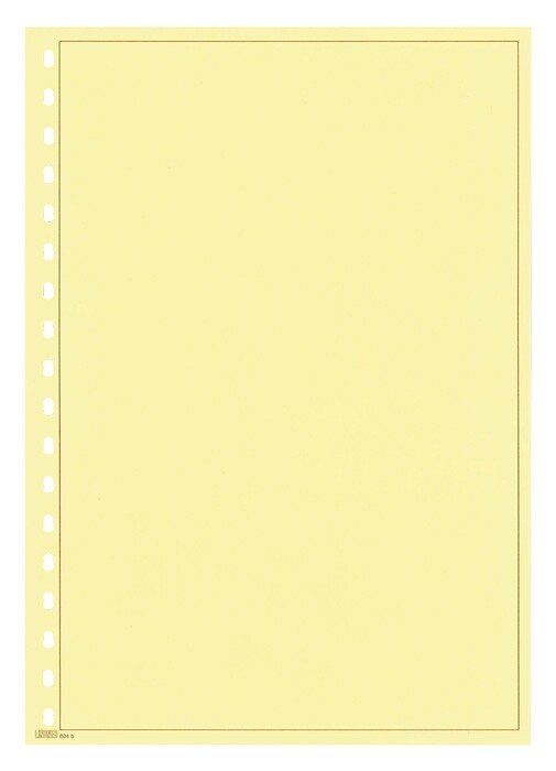 100 LINDNER 804B Blank Sheets Yellow A4 Brown Border Line 291X297Mm