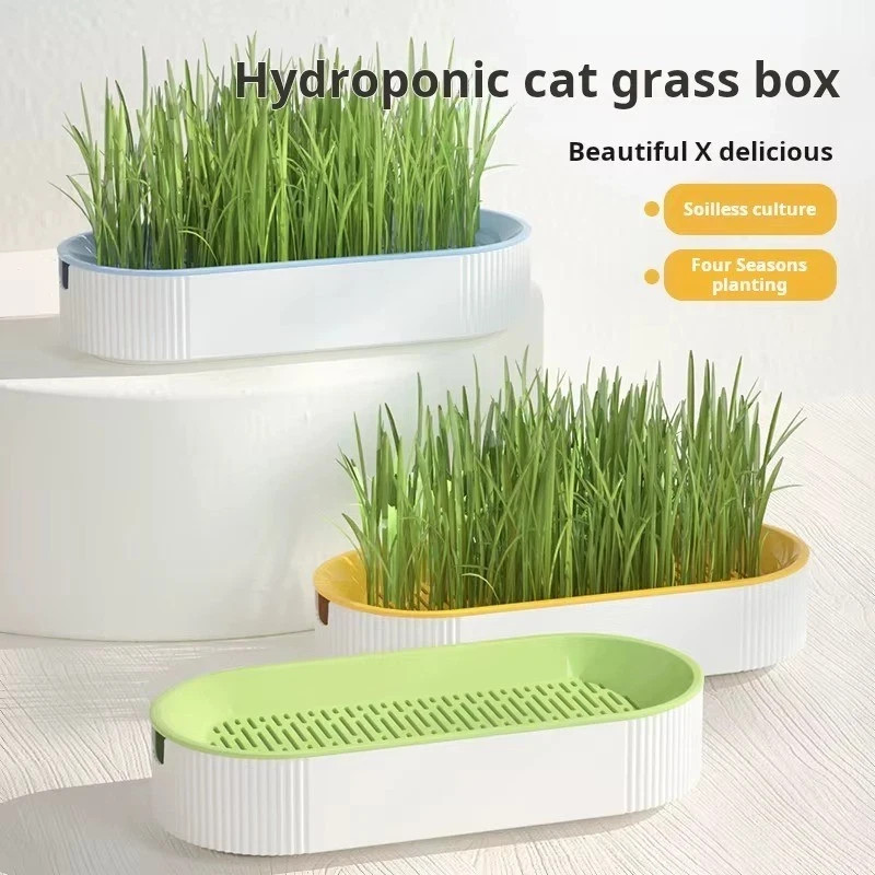 Cat Grass Planting Box Growing Plant Box Hydroponic Soil-Free Cat Snacks *