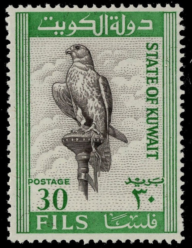 KUWAIT 295 - Saker Falcon "Falco cherrug" (pc54539)