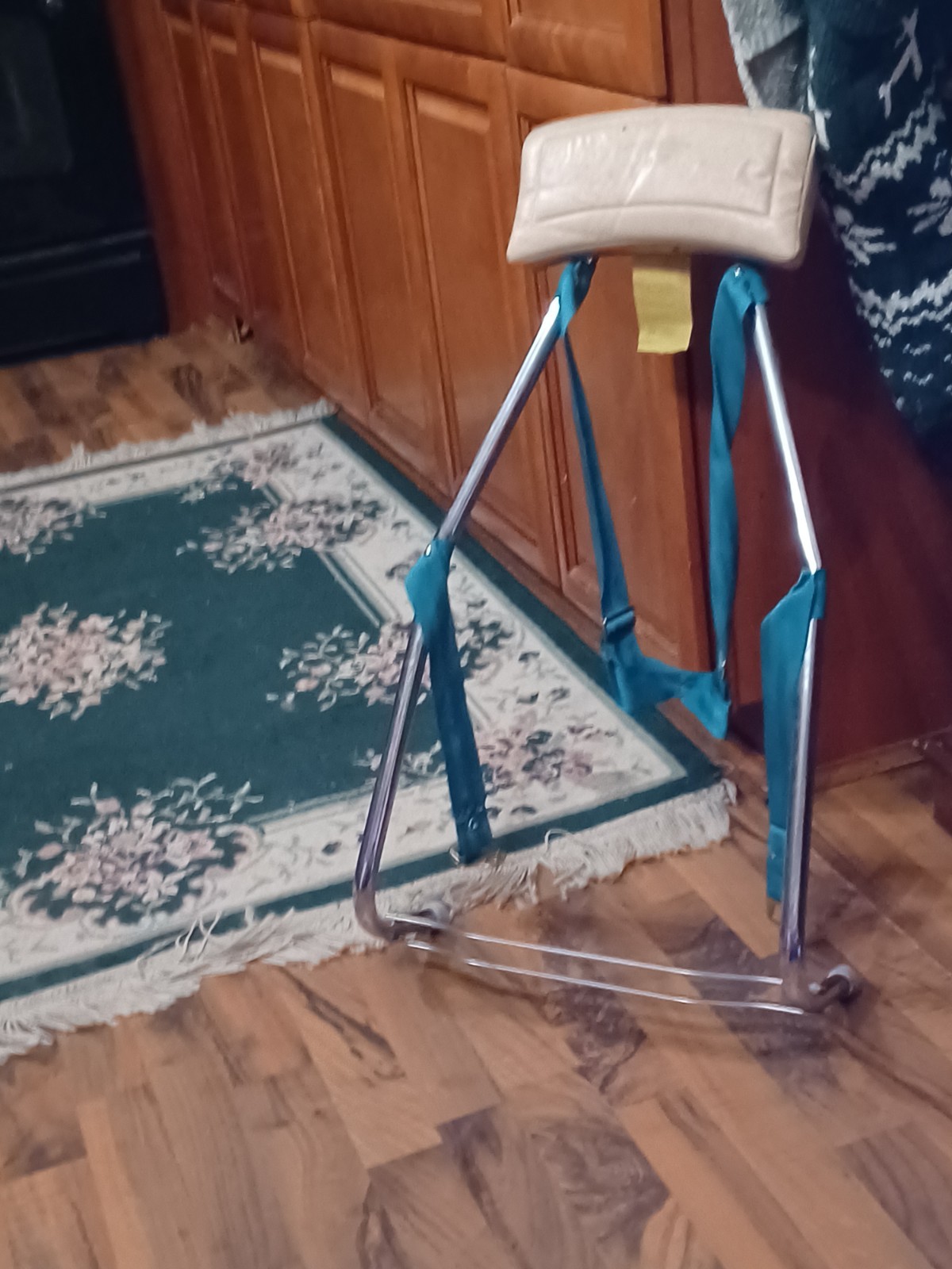 Rex-Stroll-O-Chair Car SEAT #71