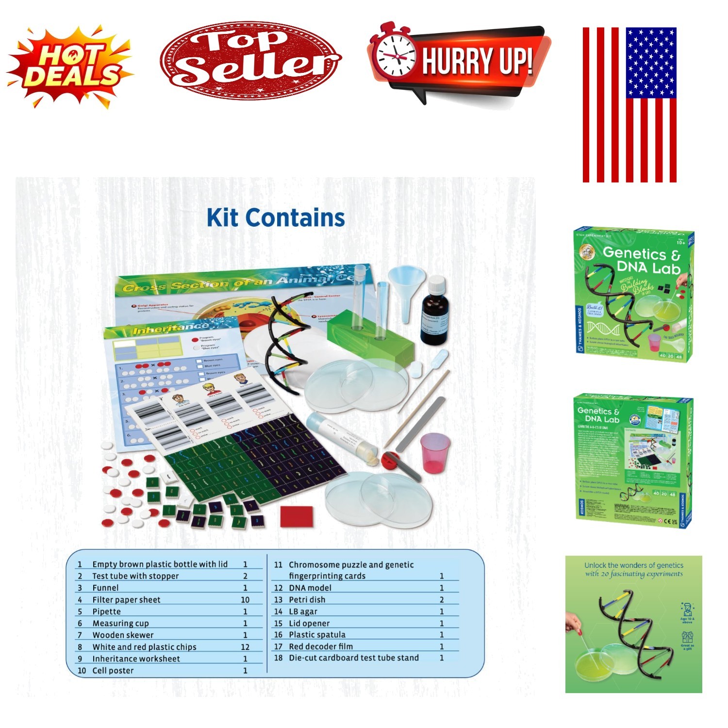 Genetics & DNA Lab Kit for Hands-On Learning