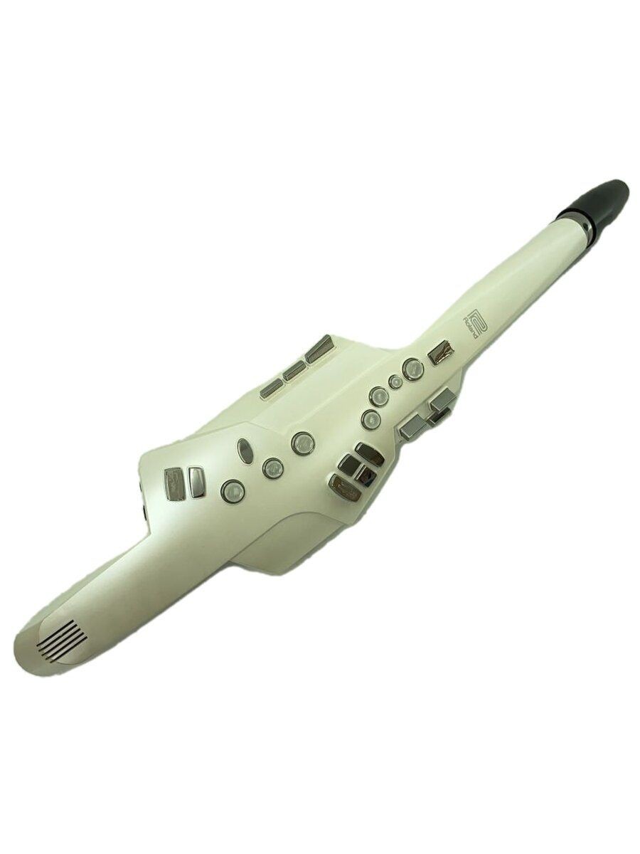 Roland Wind Instruments Other AE-10 Aerophone Used