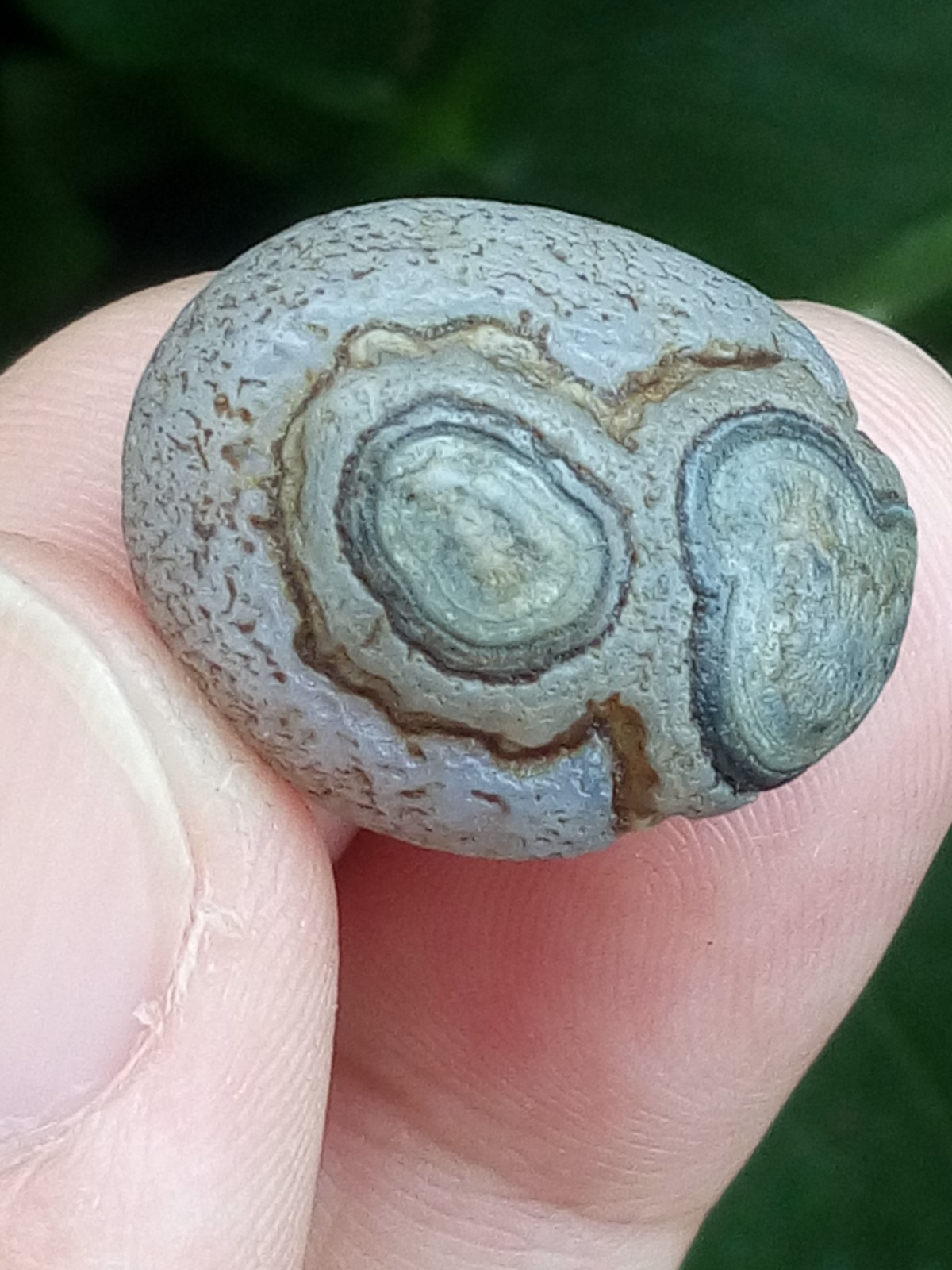 21mm Natural GoBi agate eye agate stone cute collection