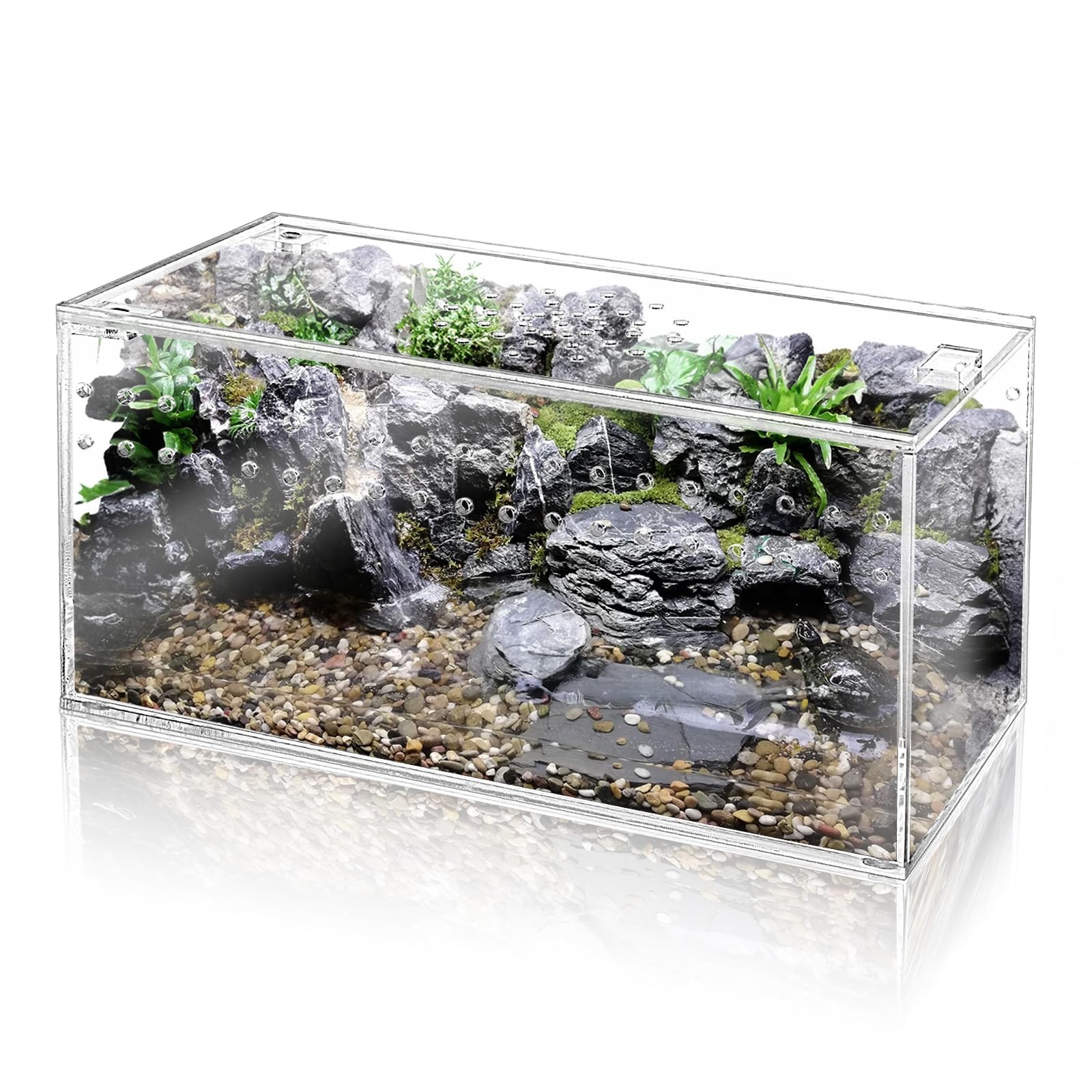 Acrylic Tarantula Enclosure Terrarium, 8" x 4" x 4" Small Magnetic Reptile Ta...