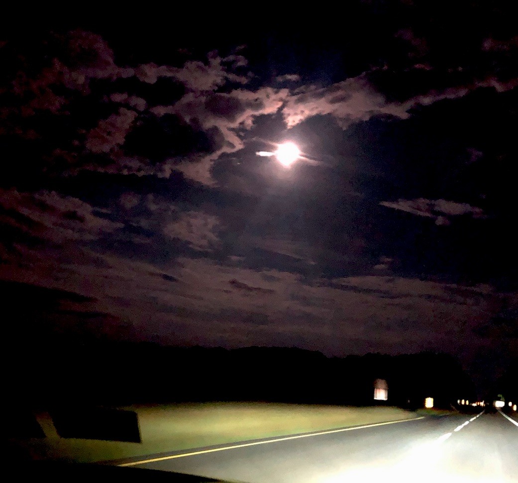 “Pleasure By Design” Quantum Human Design & Pleasure Coaching