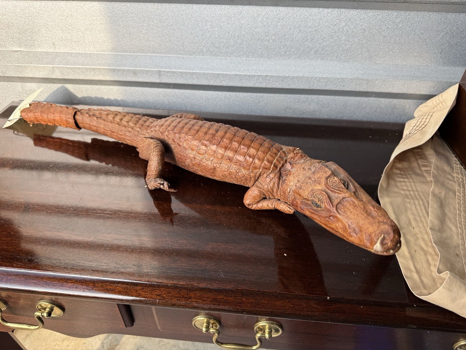 Vintage Real Genuine Stuffed Taxidermy Baby Full Body Alligator For Repair