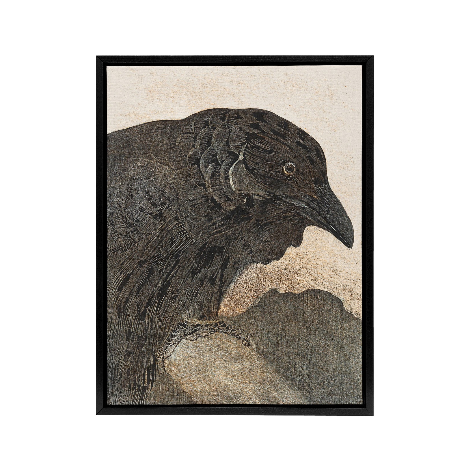 Old Crow Bird Painting Framed Canvas Wall Art Print van Hoytema