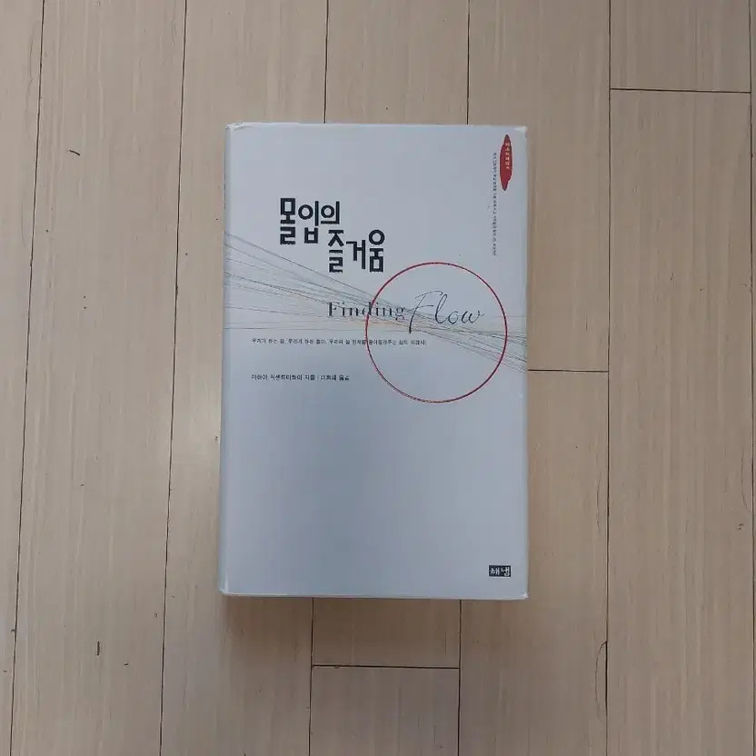 Self-Development Book - The Joy of Immersion