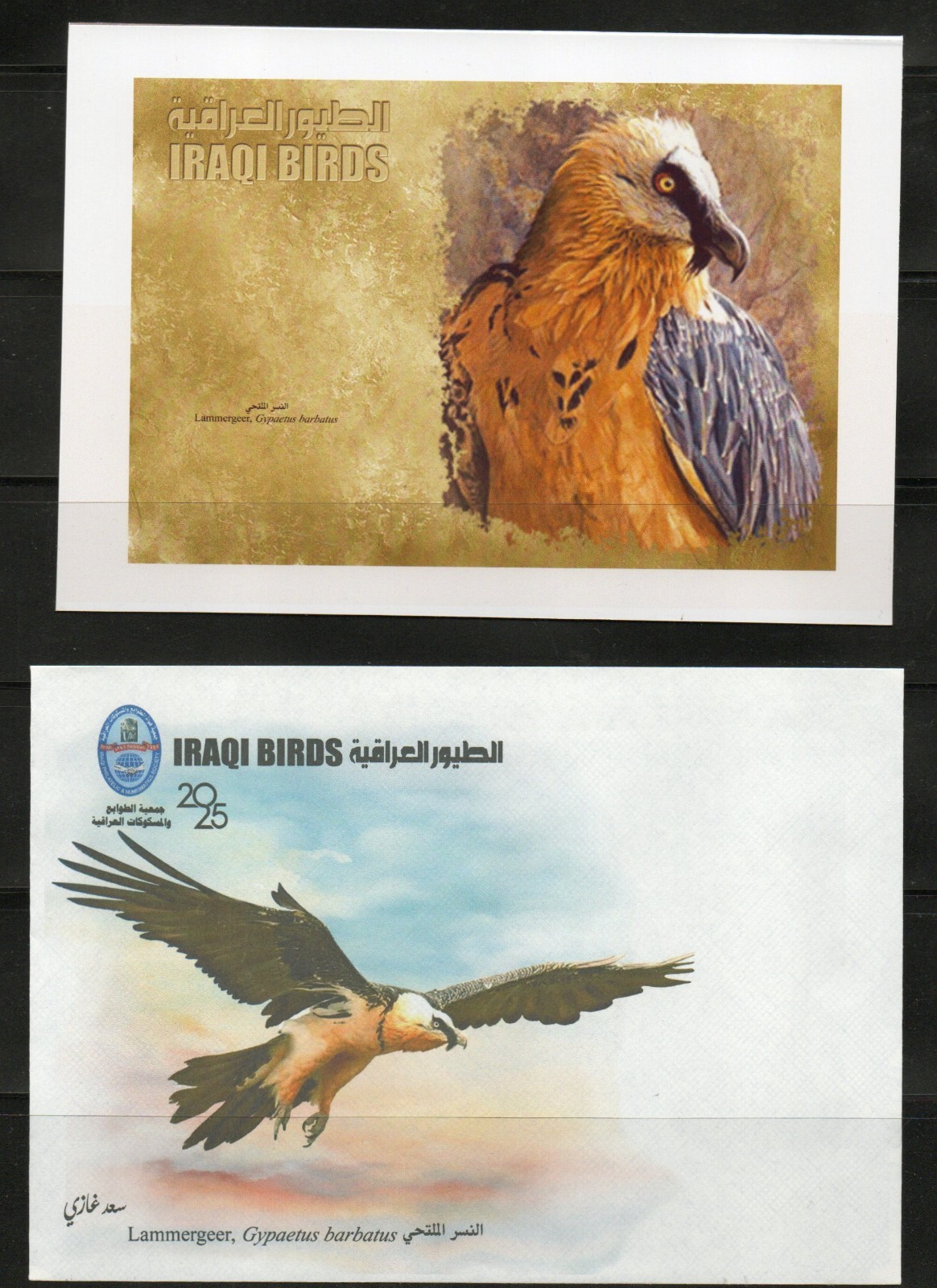 Postcard issued by the Iraqi Philatelic Society featuring the birds of Iraq2025