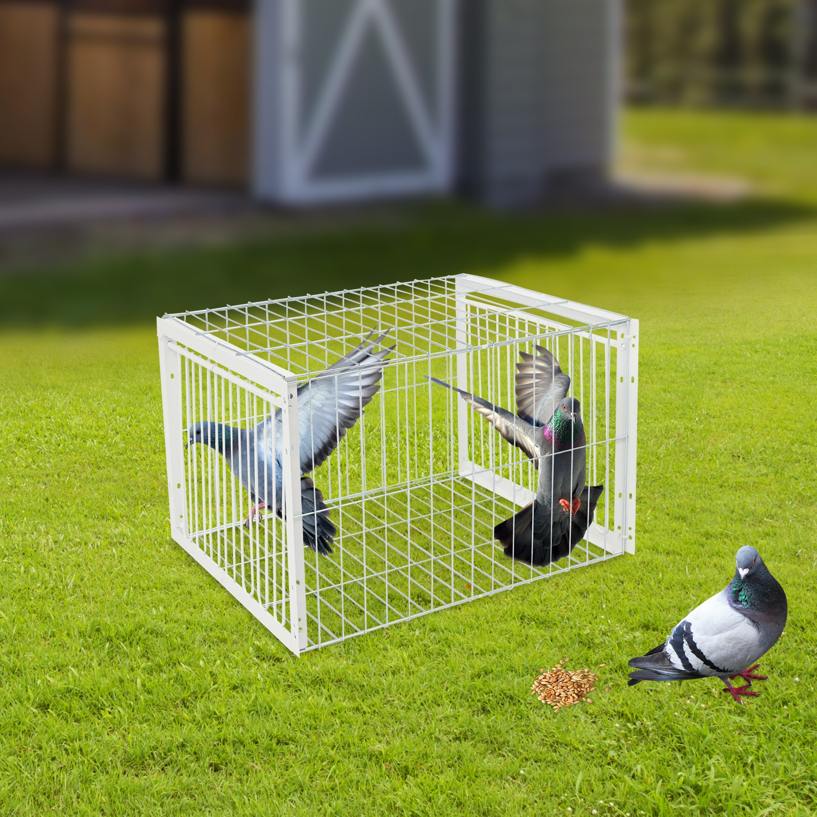 Pigeon Cage, One-way Entry Birds Trap Cage , Pigeon Trap W/escape-proof Design