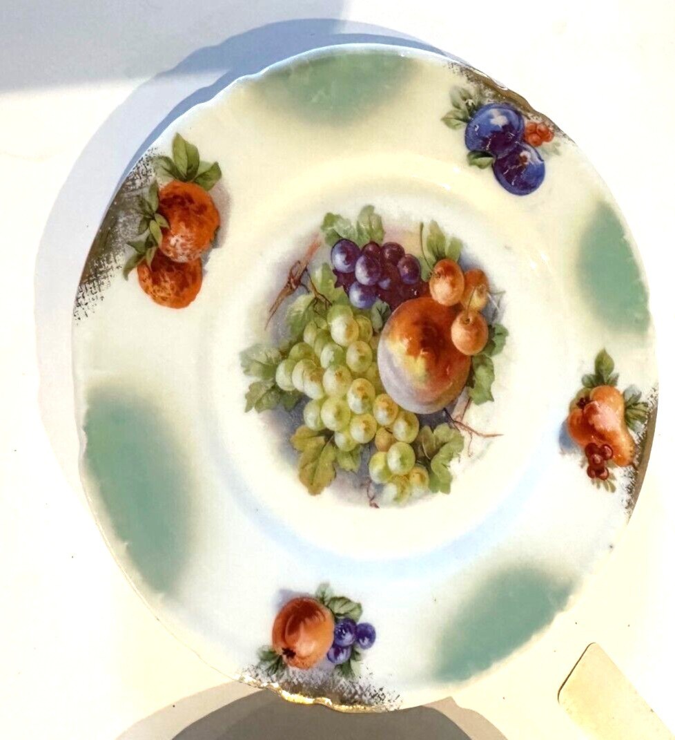 Antique SCH Schwarzenhammer Bavaria Plate (1905-1910) – Made in Germany