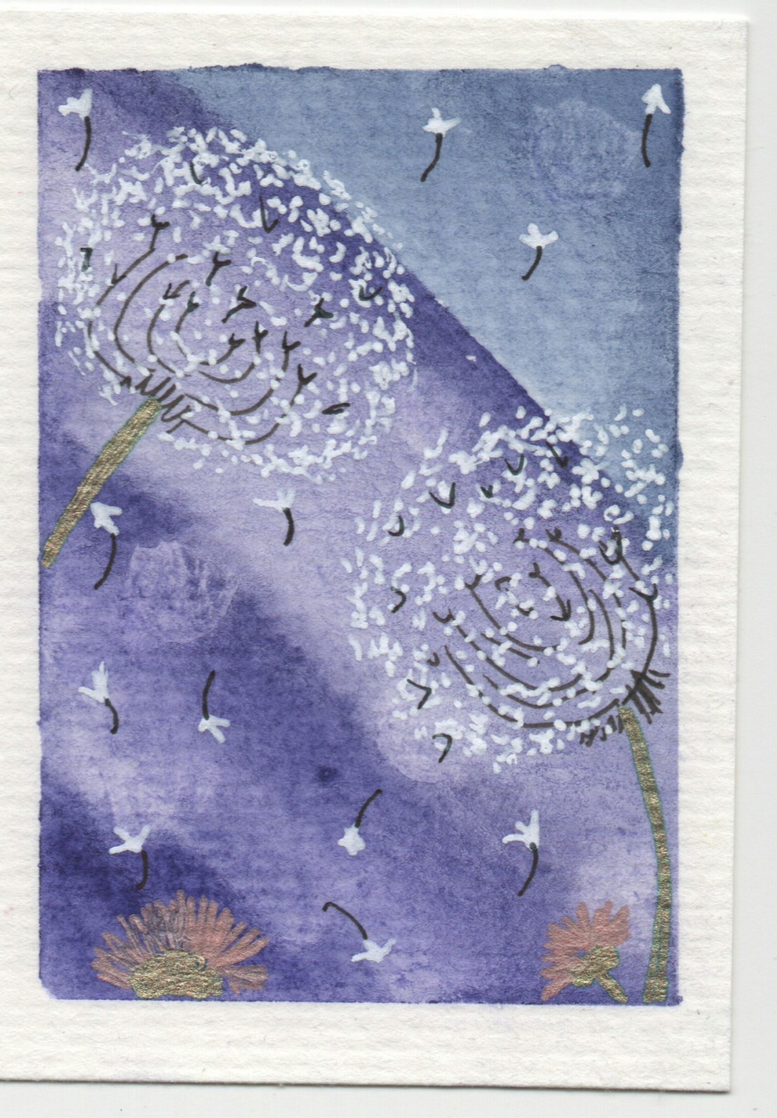 aceo original art "Violet Breeze" Dandelion 