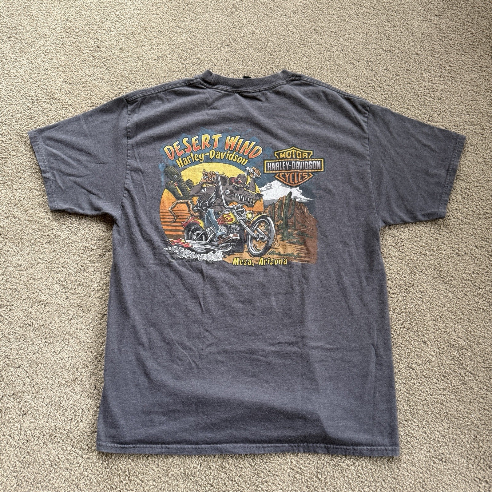Harley Davidson Motorcycles Size Large Tee Shirt Desert Wind Mesa Arizona Y2K