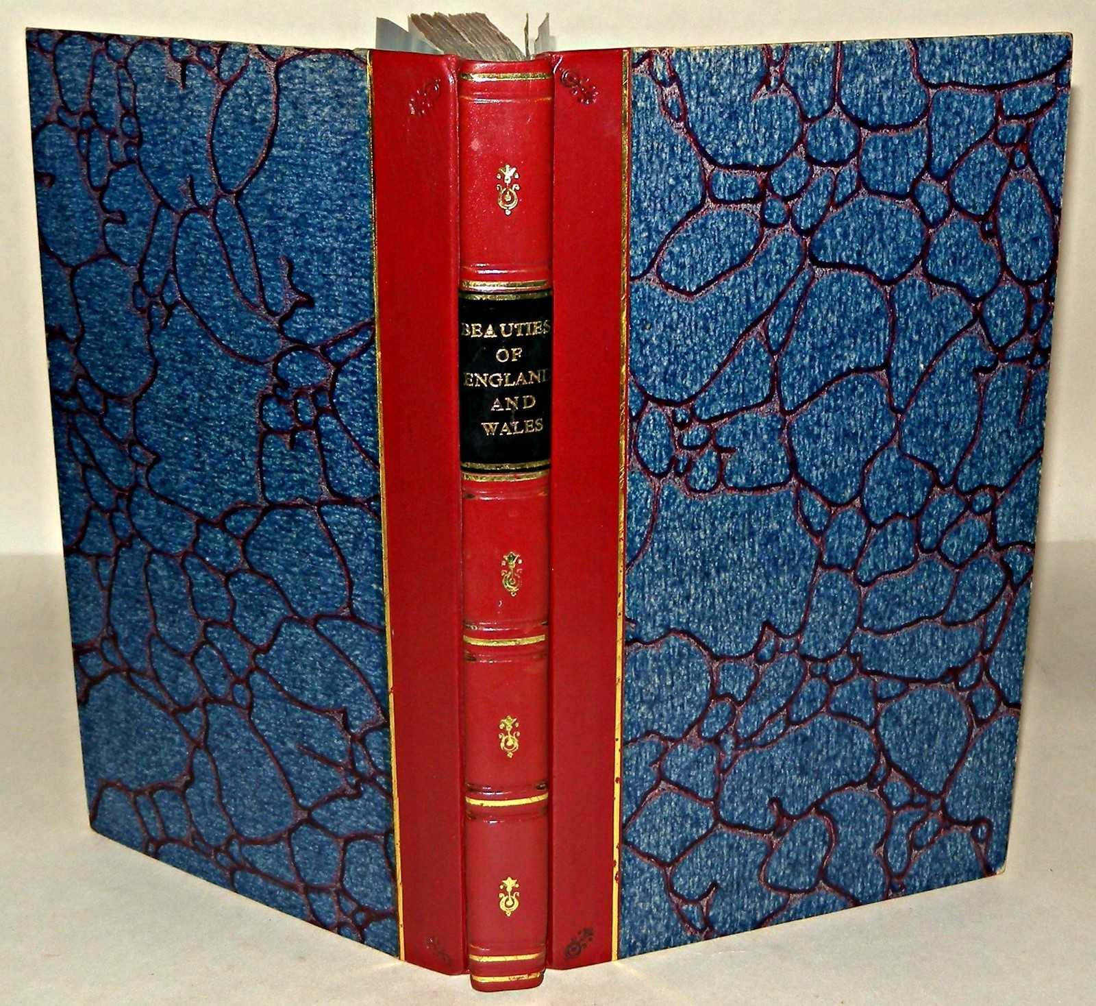 Beauties of England & Wales Herefordshire Vol VI 1805 HB