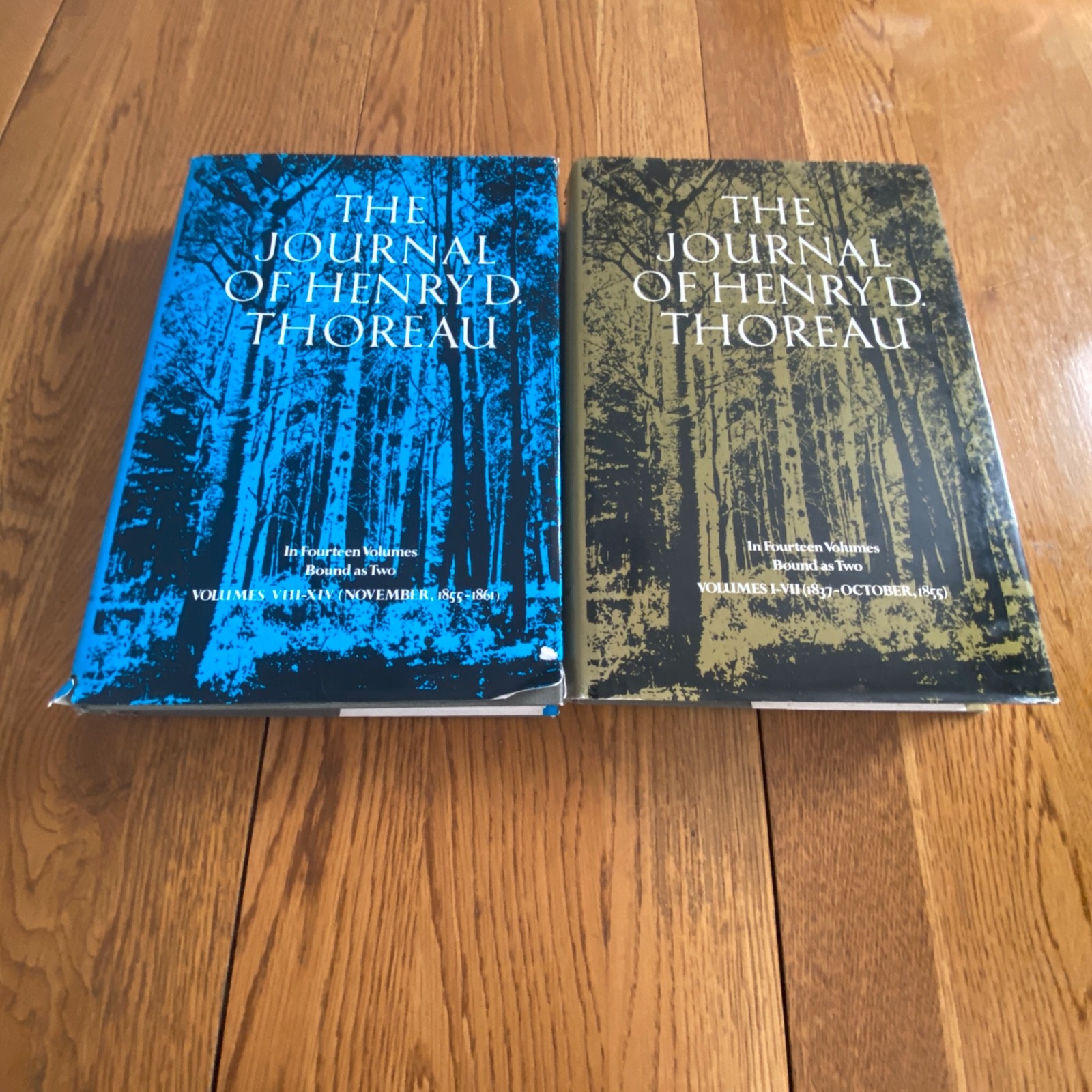 The Journal of Henry D Thoreau 14 Volumes in 2 Books Hardcover 1962