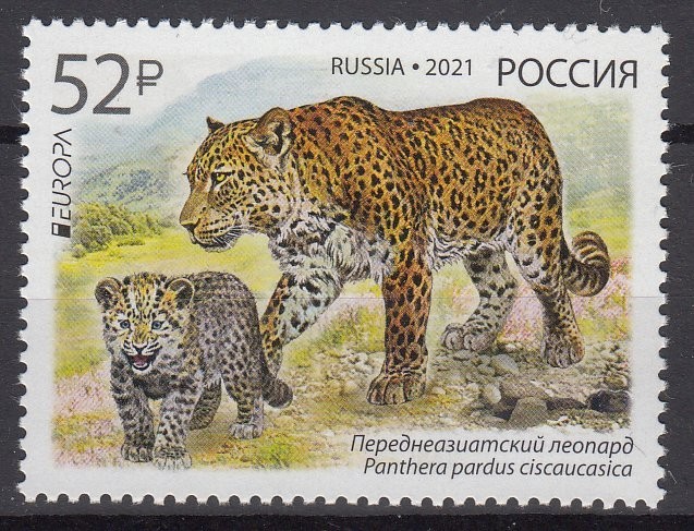Russia.2021 EUROPA CEPT.Endangered national wildlife.1 st.MNH