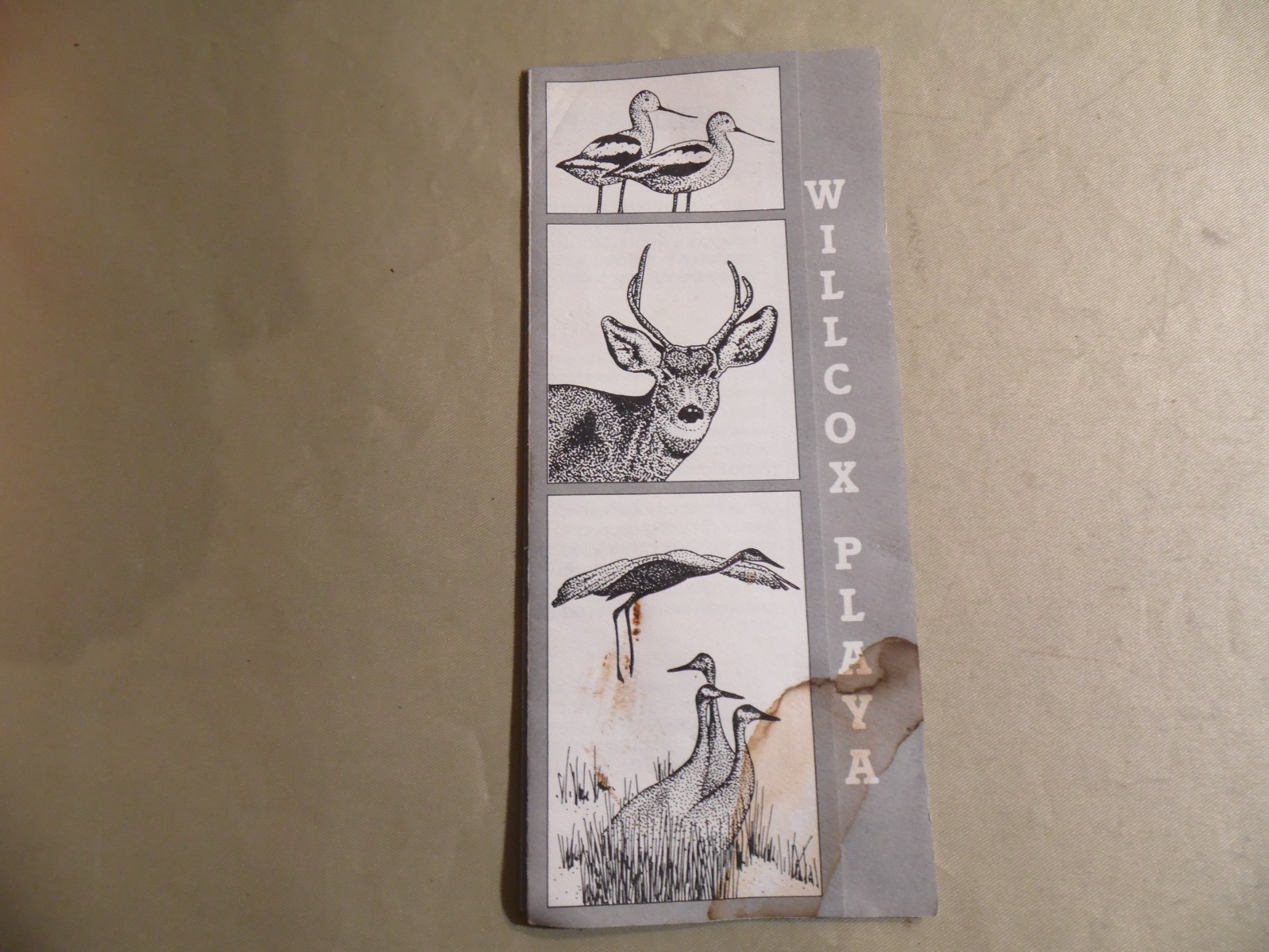 Willcox Playa Wildlife Area Pamphlet / Free Domestic Shipping