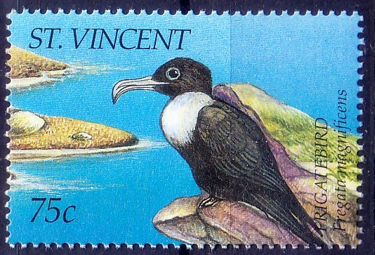 St. Vincent 1995 MNH, Water Birds, Frigatebird   [C17]