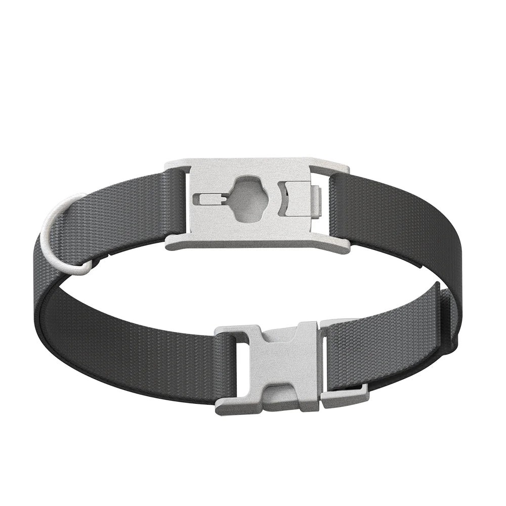 Whistle Small Twist & Go Pet Tracking Collar Compatible With Whistle GO Explore