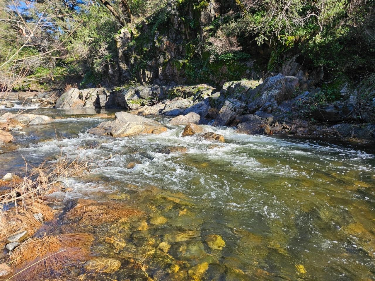 Tuolumne River Gold Run, 20-Acre Gold Mining Claim, Tuolumne County, CA