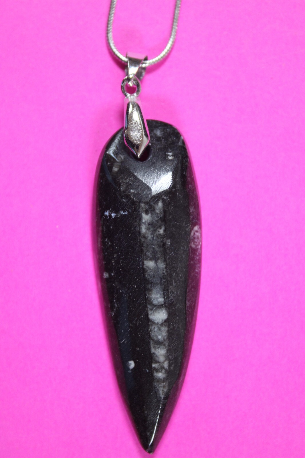 Authentic Orthoceros Necklace Fossil 500 Million Years Old Dinosaur Girl COA 16