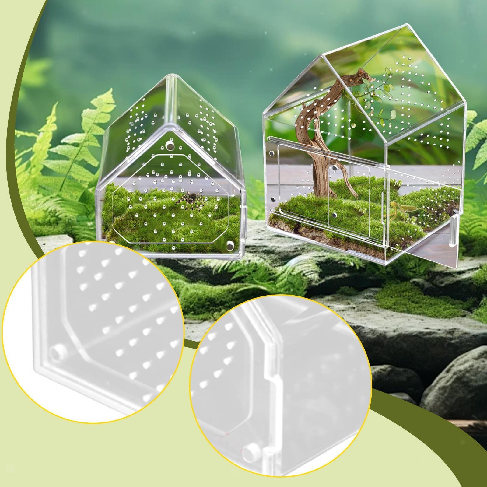 Jumping Spiders Enclosure Feeding Box Acrylic Magnetic Door Micro Habitat