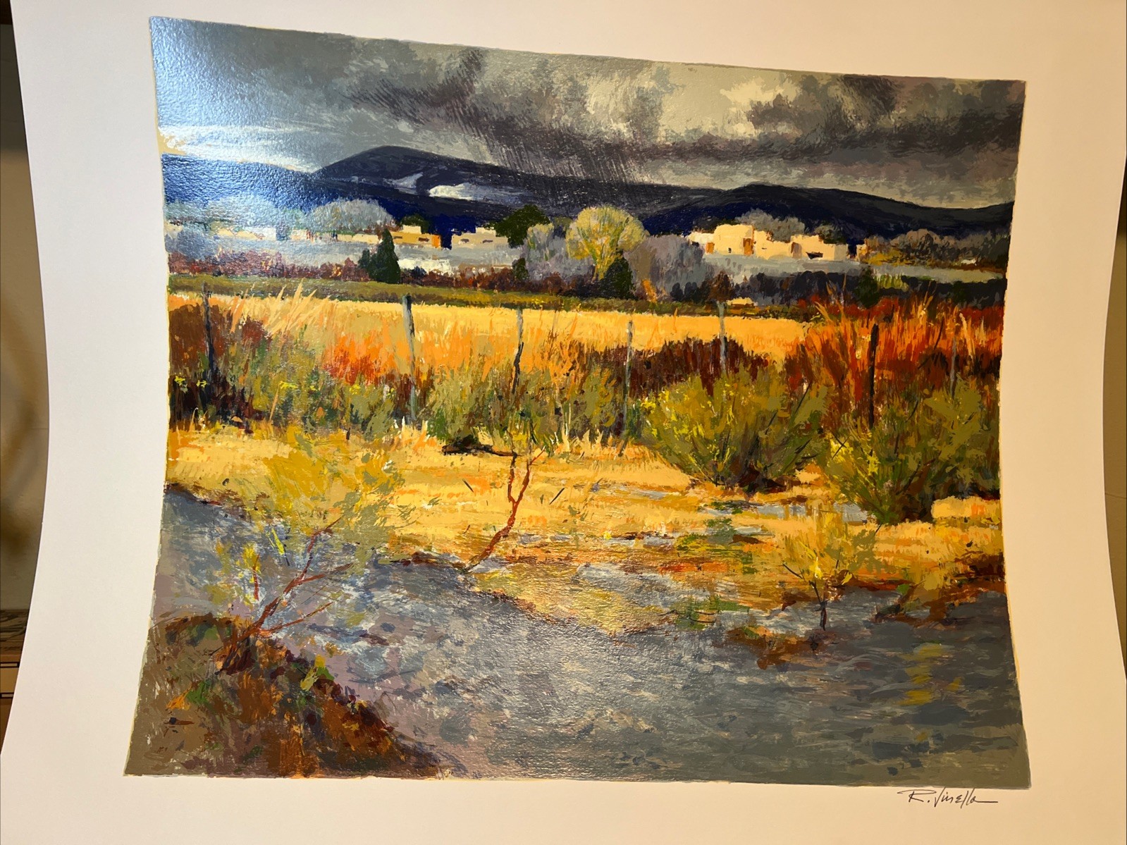 Ray Vinella Southwest Landscape Lithograph signed