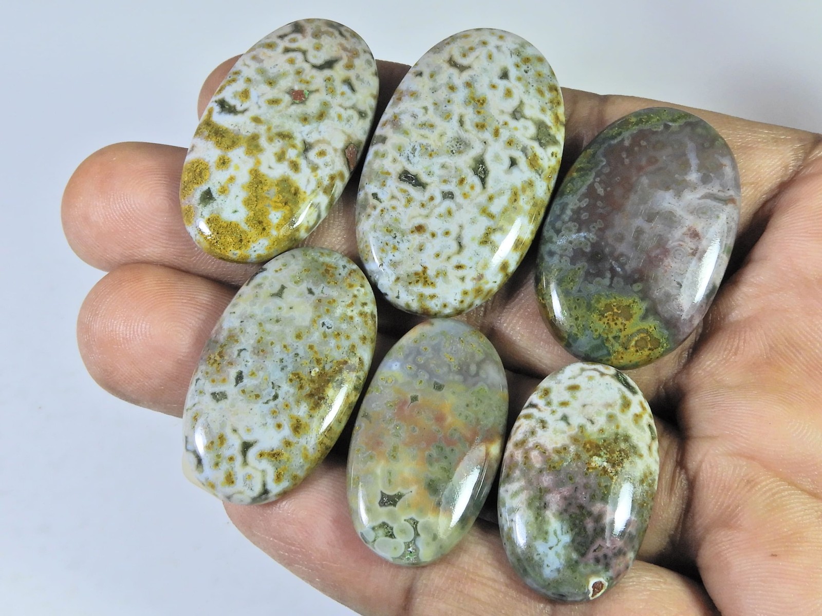 162Cts. Natural Ocean Jasper Oval Cabochon Loose Gemstone 6Pcs Lot 30-39 MM A603