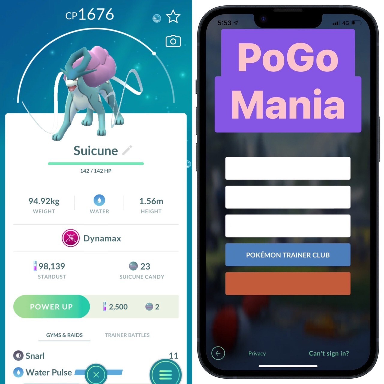 Dynamax Suicune (NON shiny)💥with Gmax Venusaur *1💥mini PTC 20k💥