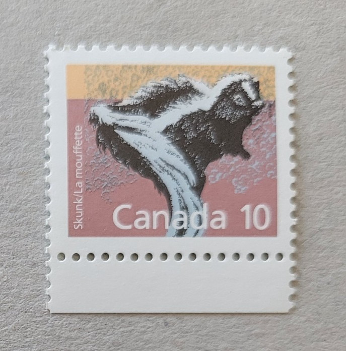 canada stamp #1160ii - Skunk (1991) 10¢ Untagged, Coated paper MNH OG