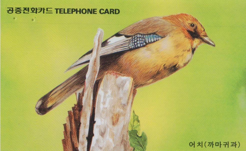 3673 Used Phonecard South Korea Bird Jay W MO9610139 Long